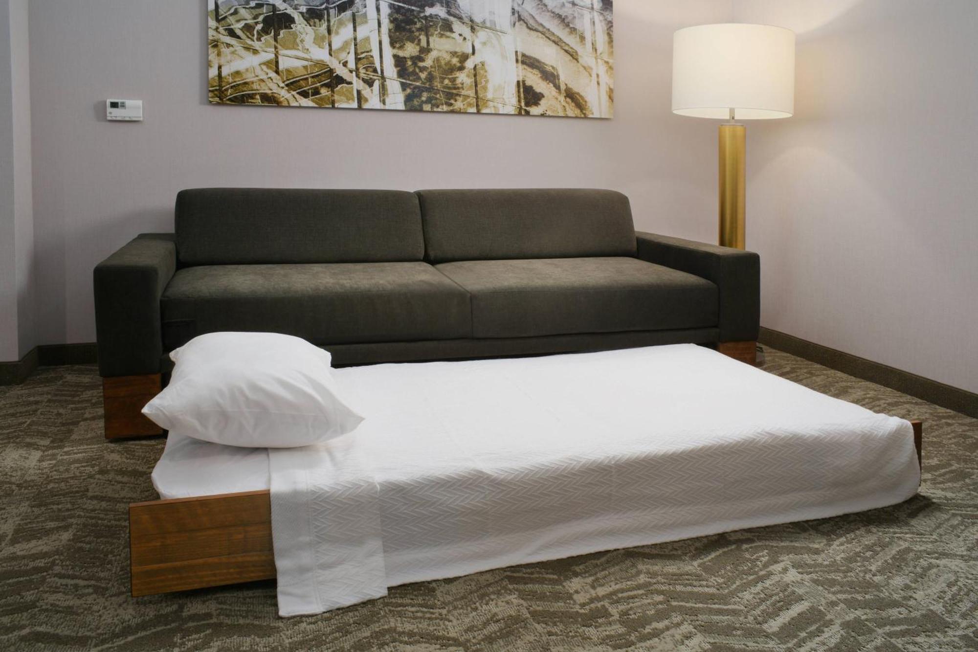 Hotel Springhill By Marriott Texas